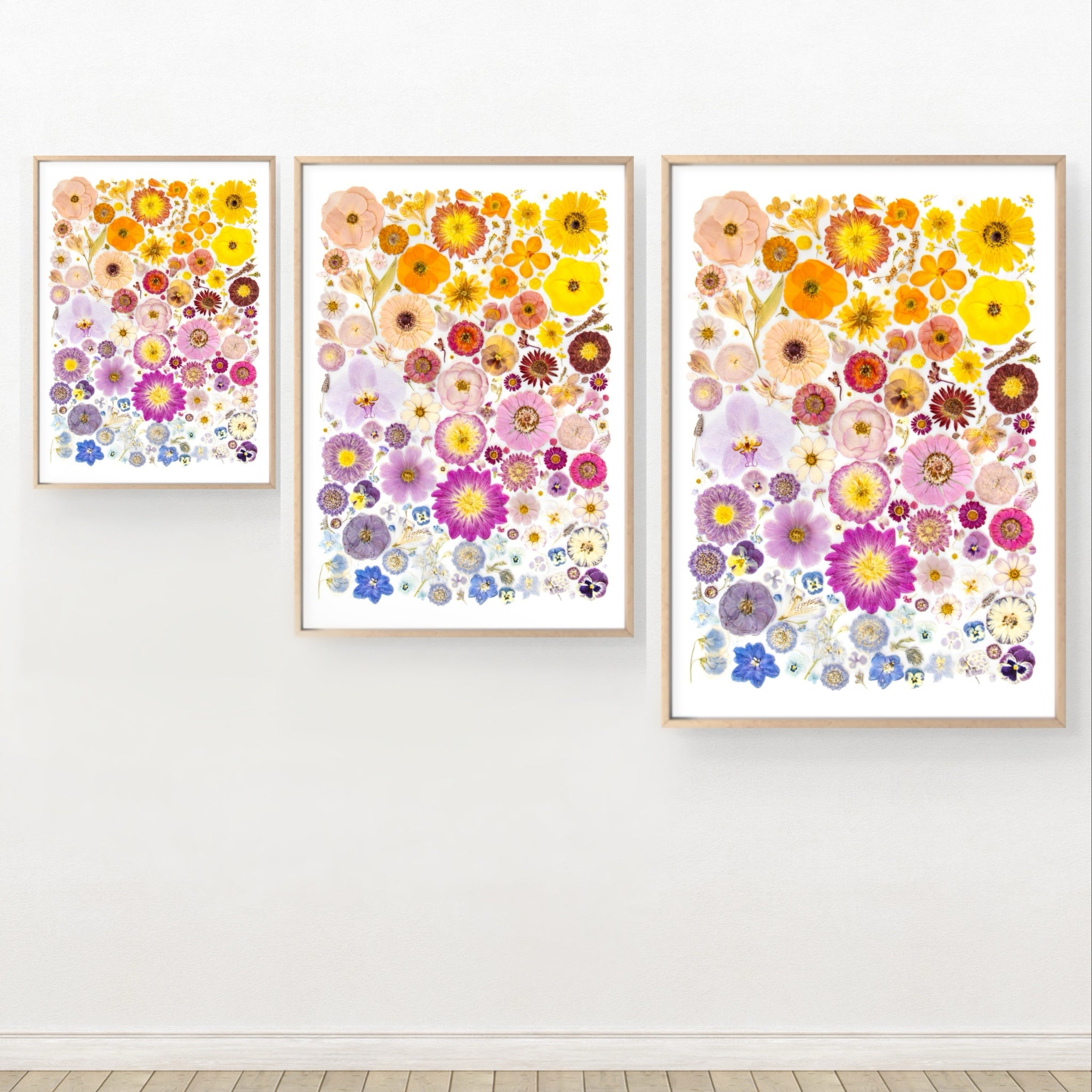 Fine Art Print - Colour In Bloom