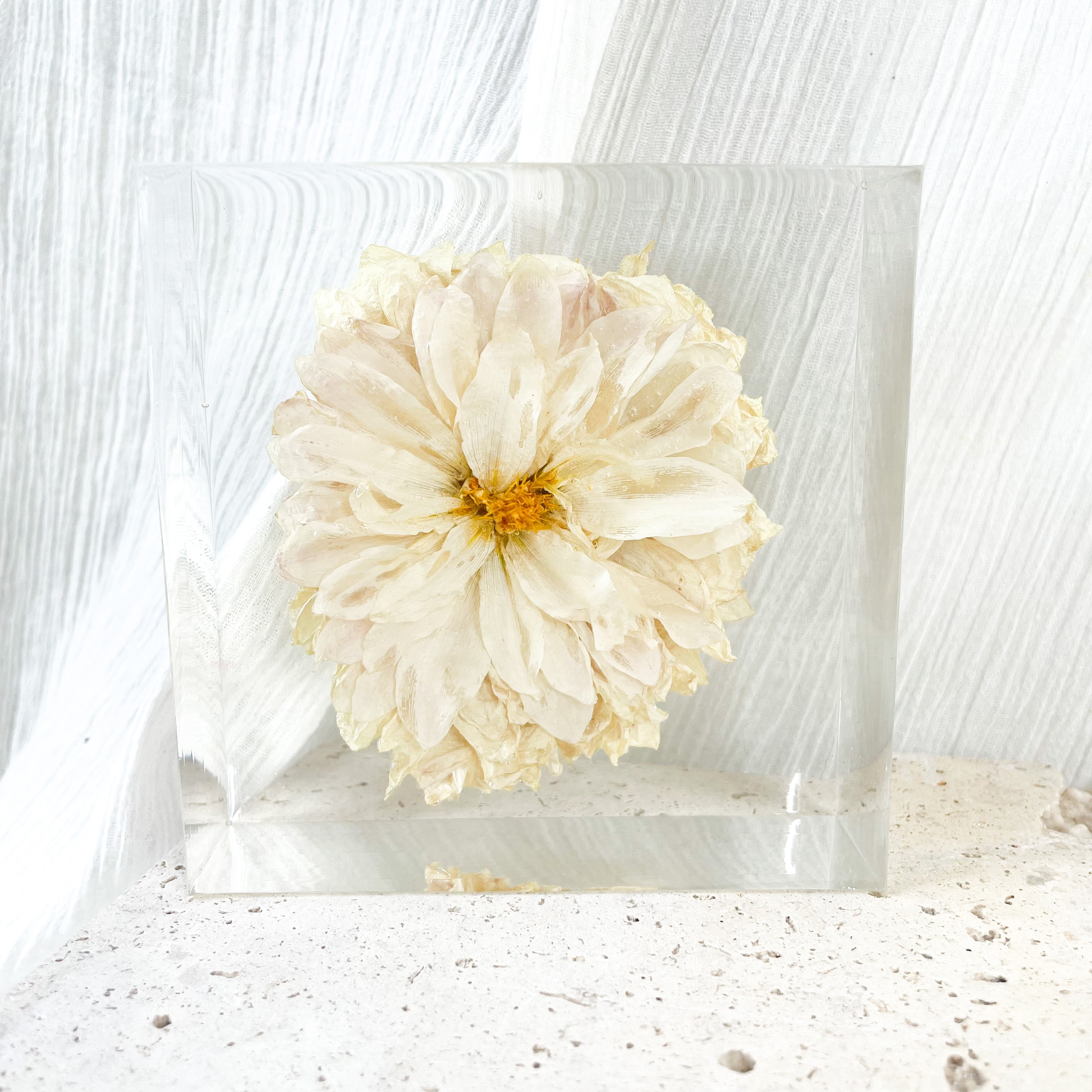 preserved-flowers-resin-petite square- wedding bouquet - resin block - white dahlia