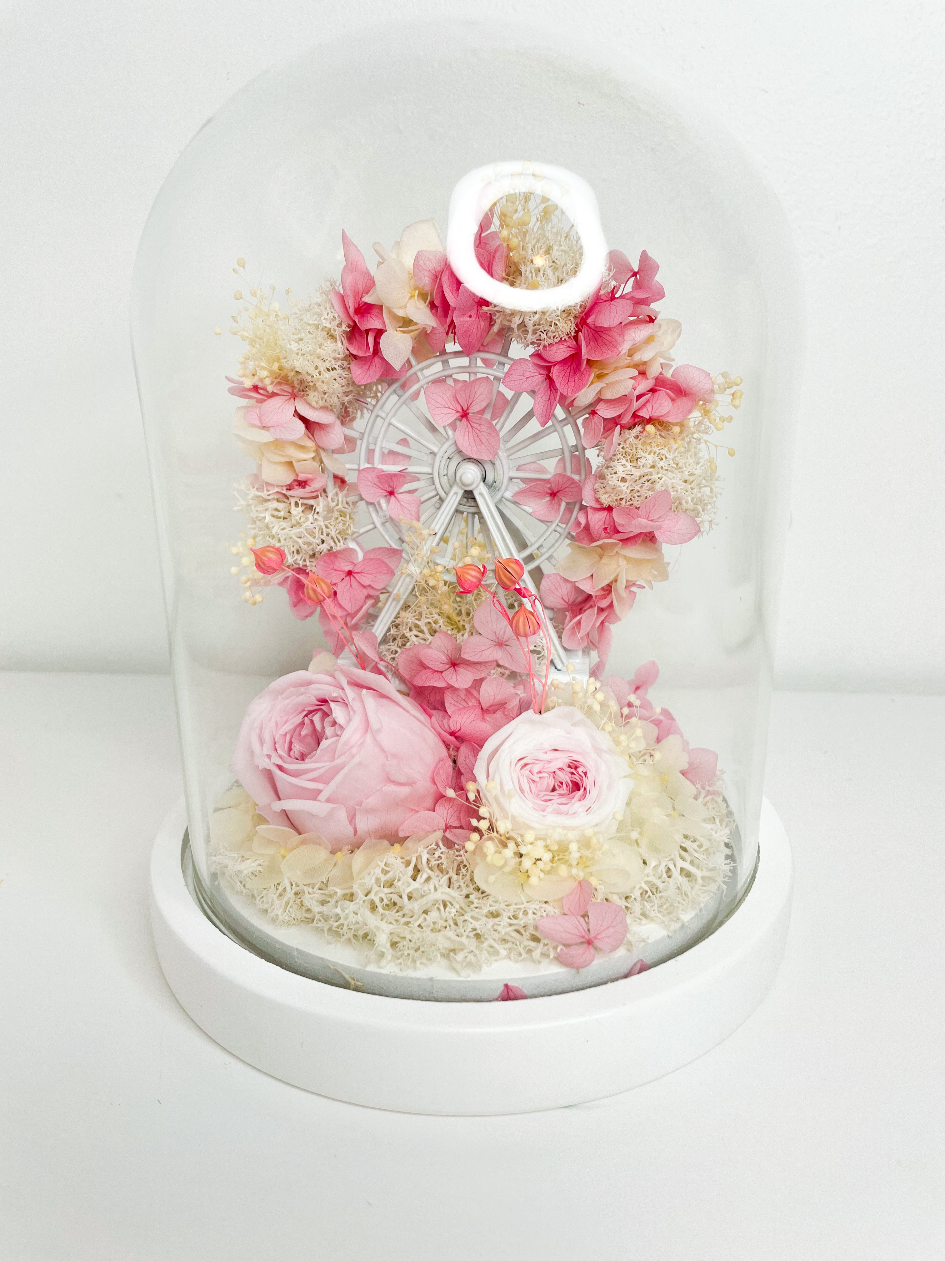 Ferris Wheel Light Up Dome - Pink