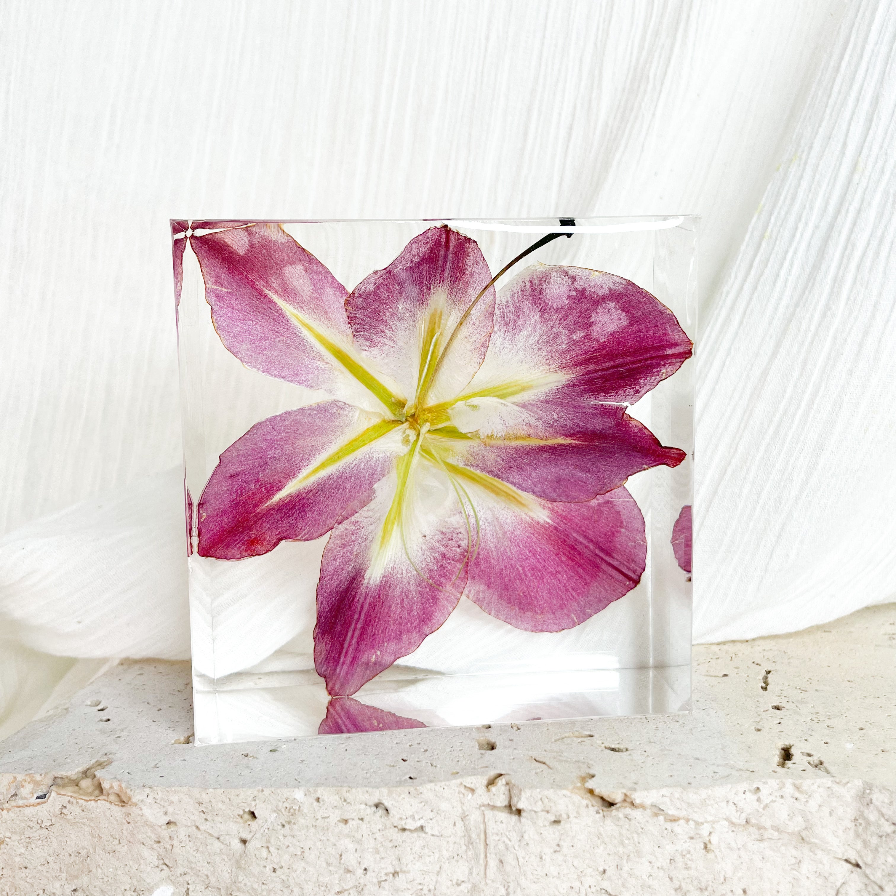 preserved-flowers-resin-square-petite