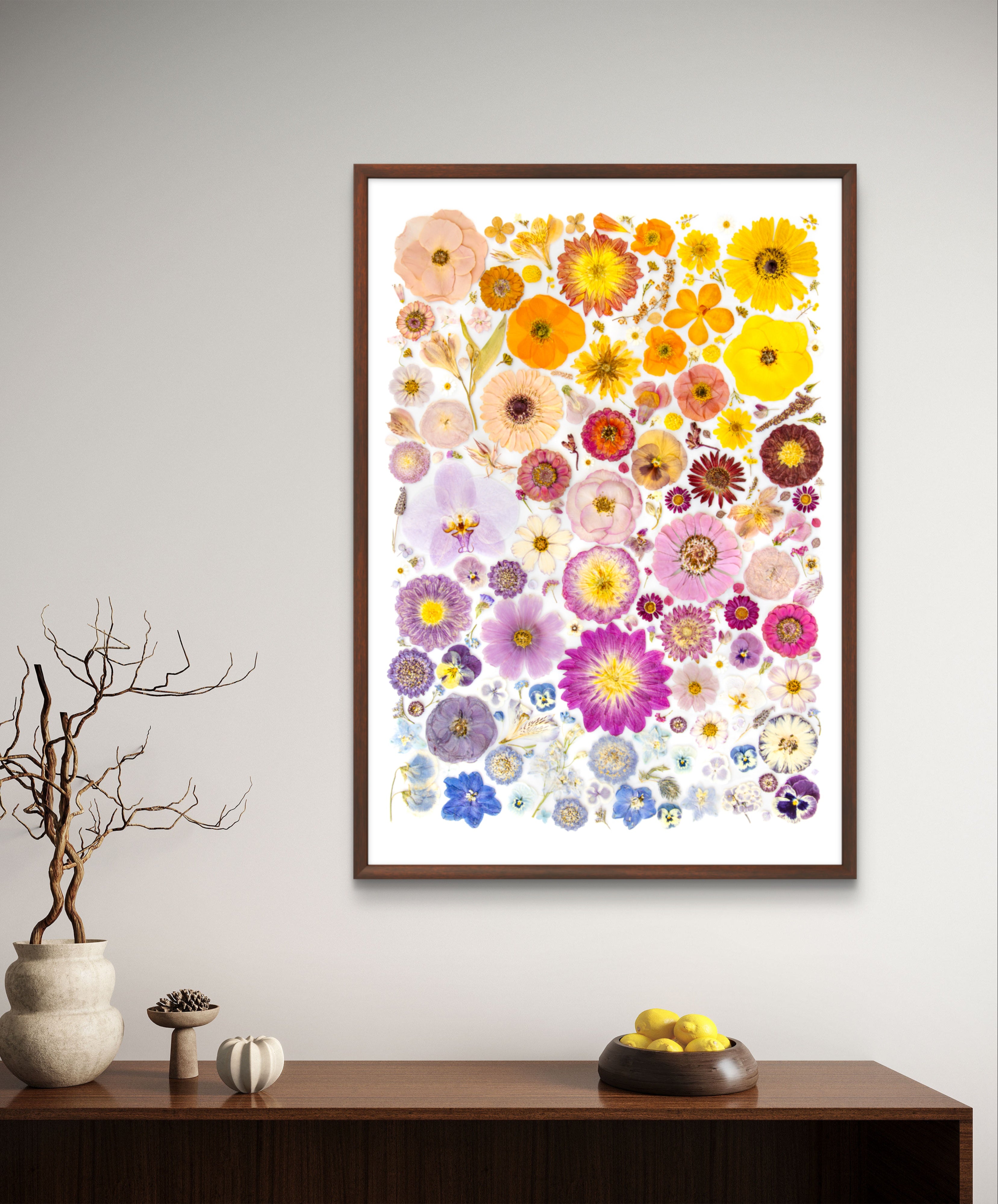 Fine Art Print - Colour In Bloom