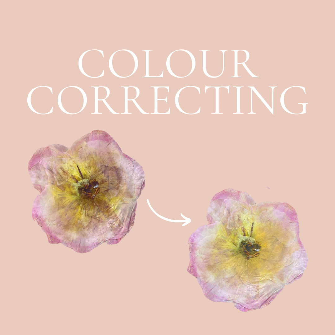 flower-colour-correcting-add-on